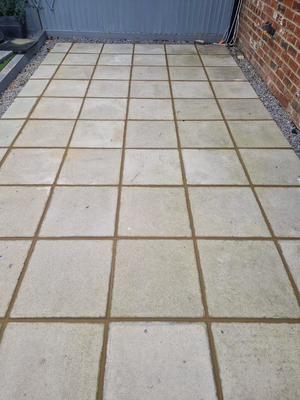 Garden Project 1